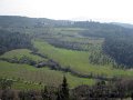 Fiesole - Parco di Montececeri-24